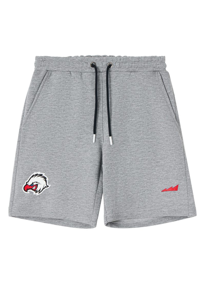 Шорты Regular Крылья Советов Nikasport, B7KS91-GRY, цвет серый